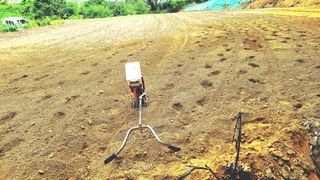 이동걸님의 콩 · 자유게시판 작성글 사진