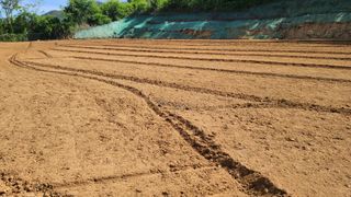 이동걸님의 콩 · 자유게시판 작성글 사진