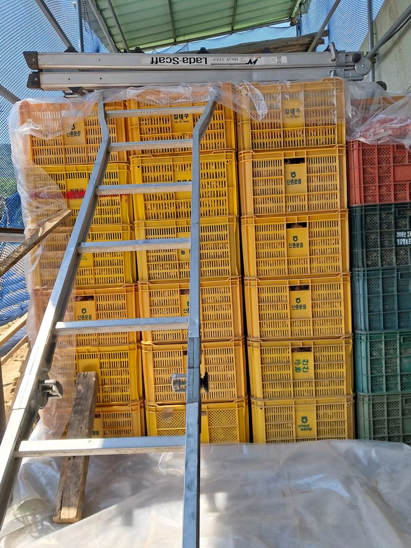 장터 상품 [콘티박쓰 중고] 썸네일