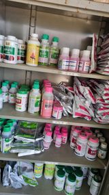 팜모닝 농부님! 어떤 농약 쓰세요?·참여 게시글 이미지