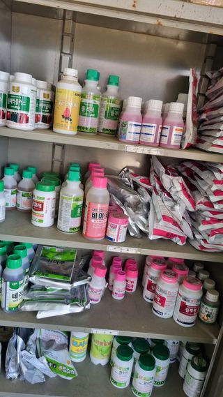 참외님의 농부님! 어떤 농약 쓰세요? · 참여 작성글 사진