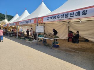 와여농산님의 마늘 · 시세•판로 작성글 사진