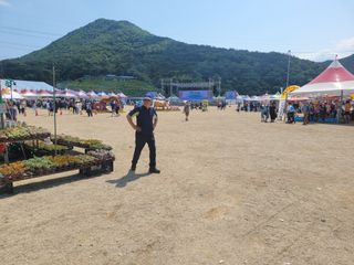 와여농산님의 마늘 · 시세•판로 작성글 사진