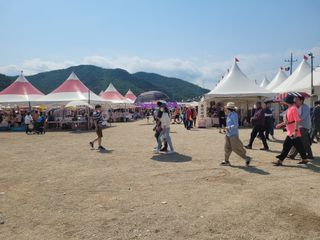 와여농산님의 마늘 · 시세•판로 작성글 사진