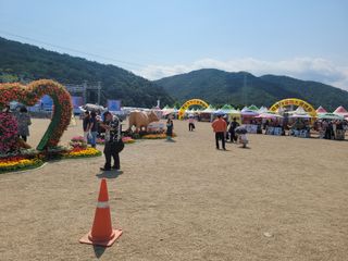 와여농산님의 마늘 · 시세•판로 작성글 사진