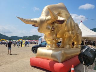 와여농산님의 마늘 · 시세•판로 작성글 사진