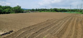 신승철님의 기타작물 · 자유게시판 작성글 사진