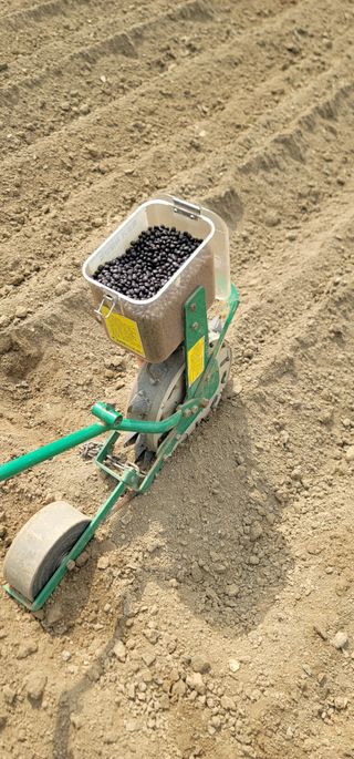 신승철님의 기타작물 · 자유게시판 작성글 사진