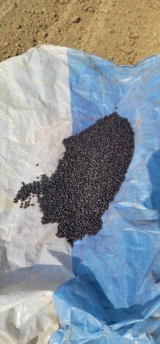 신승철님의 기타작물 · 자유게시판 작성글 사진