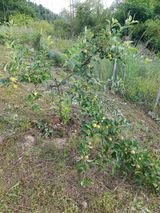 팜모닝 자유주제·자유게시판 게시글 이미지