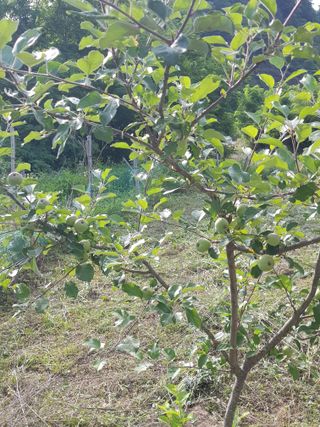 김경희님의 자유주제 · 자유게시판 작성글 사진