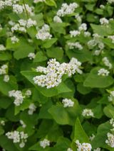 팜모닝 자유주제·자유게시판 게시글 이미지