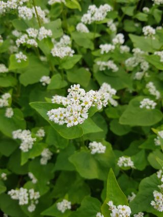 딴딴님의 자유주제 · 자유게시판 작성글 사진