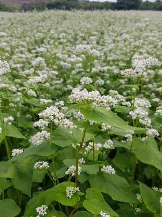 딴딴님의 자유주제 · 자유게시판 작성글 사진