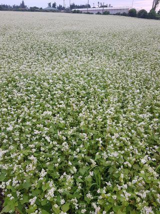 딴딴님의 자유주제 · 자유게시판 작성글 사진