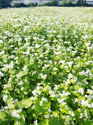 딴딴님의 자유주제 · 자유게시판 작성글 사진