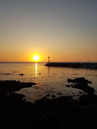 딴딴님의 자유주제 · 자유게시판 작성글 사진