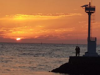 딴딴님의 자유주제 · 자유게시판 작성글 사진