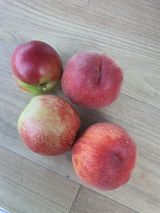 팜모닝 자유주제·자유게시판 게시글 이미지