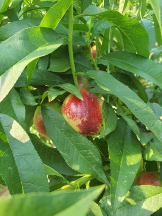 벌교꼬마님의 자유주제 · 자유게시판 작성글 사진