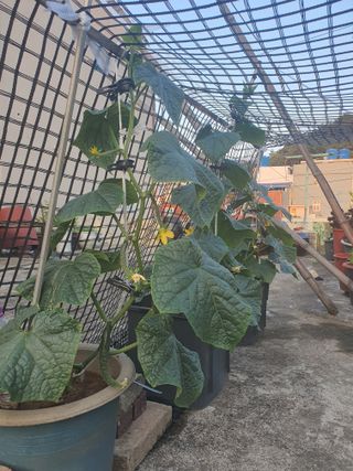 주*희님의 자유주제 · 자유게시판 작성글 사진