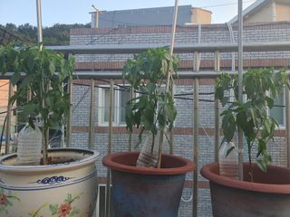 주*희님의 자유주제 · 자유게시판 작성글 사진