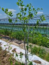 팜모닝 자유주제·자유게시판 게시글 이미지