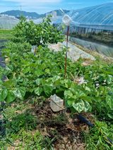 팜모닝 자유주제·자유게시판 게시글 이미지