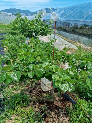 쭈니팜 님의 자유주제 · 자유게시판 작성글 사진