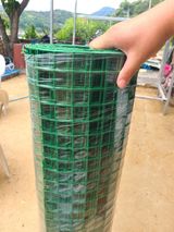 팜모닝 · 게시글 이미지