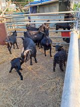 팜모닝 · 게시글 이미지