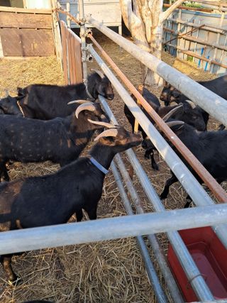 김석현님의 작성글 사진