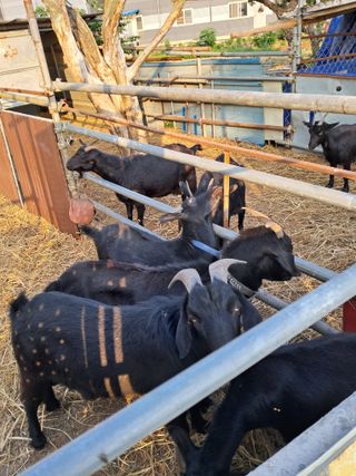 김석현님의 작성글 사진