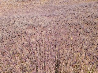 고영환님의 우리동네 · 동네자랑 작성글 사진