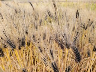 고영환님의 우리동네 · 동네자랑 작성글 사진