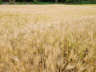고영환님의 우리동네 · 동네자랑 작성글 사진