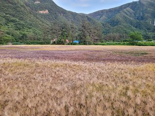 고영환님의 우리동네 · 동네자랑 작성글 사진