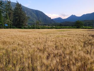 고영환님의 우리동네 · 동네자랑 작성글 사진