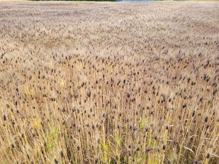 고영환님의 우리동네 · 동네자랑 작성글 사진