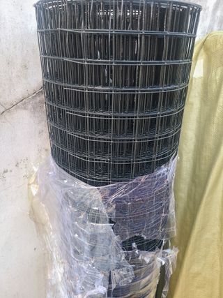 다이쏘(권자영)님의 작성글 사진