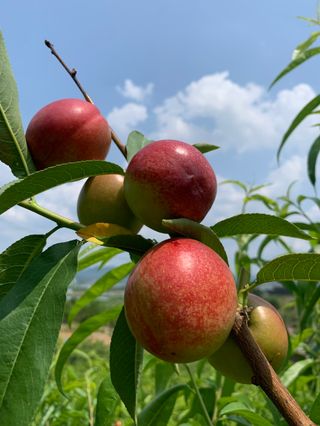 써니네님의 작성글 사진