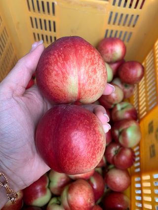 써니네님의 작성글 사진