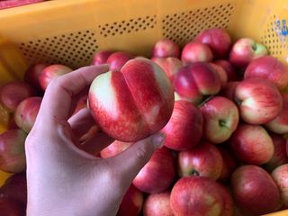 써니네님의 작성글 사진