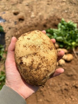 엘림농장님의 기타작물 · 자유게시판 작성글 사진