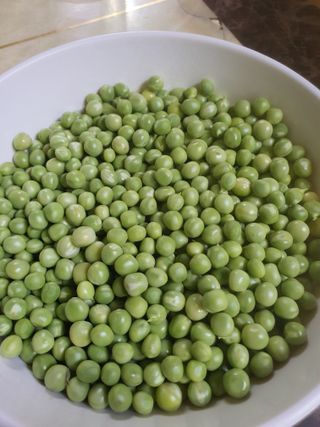 엘림농장님의 기타작물 · 자유게시판 작성글 사진