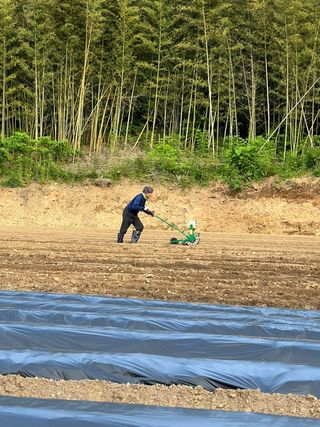 엘림농장님의 기타작물 · 자유게시판 작성글 사진