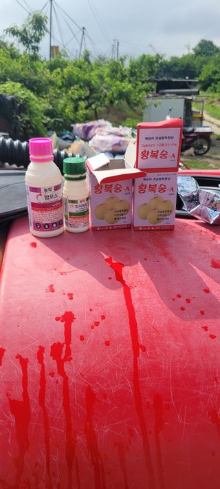 진용농사27년차님의 농부님! 어떤 농약 쓰세요? · 참여 작성글 사진