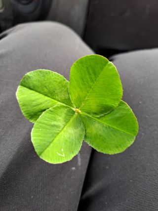 울금박사[빈덕열]님의 자유주제 · 자유게시판 작성글 사진