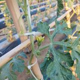 팜모닝 우리동네·동네수다 게시글 이미지