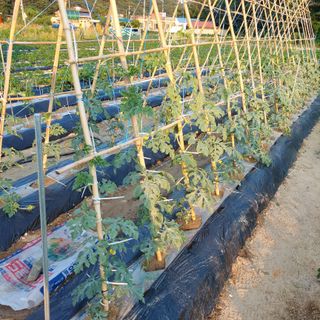 osm님의 우리동네 · 동네수다 작성글 사진